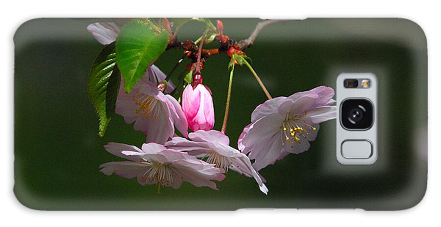 Tree Galaxy Case featuring the photograph BLOSSOMS No.2 by Janice Adomeit