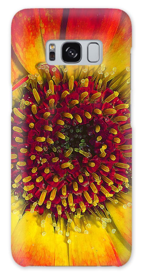 Daisy Flower Galaxy Case featuring the photograph Blowzy Daisy Details by Bill and Linda Tiepelman