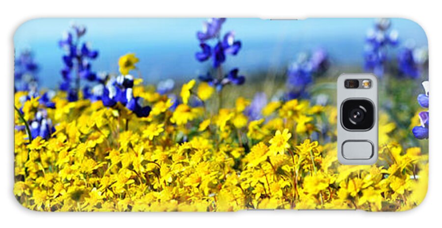 Blue Galaxy Case featuring the photograph Blue and Yellow Wildflowers by Holly Blunkall