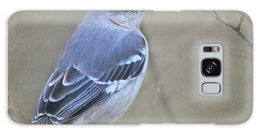 Bird Galaxy Case featuring the photograph Blue Bird by Linda Segerson