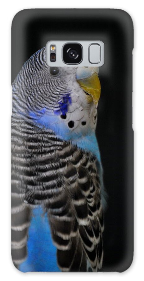 Budgie Galaxy Case featuring the photograph Blue Budgie Parakeet by Nathan Abbott