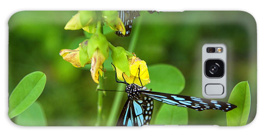 Butterfly Galaxy Case featuring the photograph Blue Butterflies In The Green Garden by Gina Koch