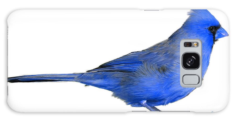 Blue Galaxy Case featuring the painting Blue Cardinal by Bruce Nutting
