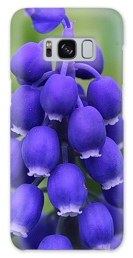 Blue Galaxy Case featuring the photograph Blue by Catia Juliana