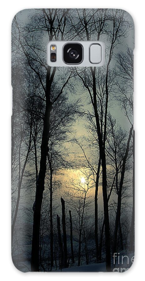 Winter Galaxy S8 Case featuring the photograph Blue Daybreak by Karol Livote