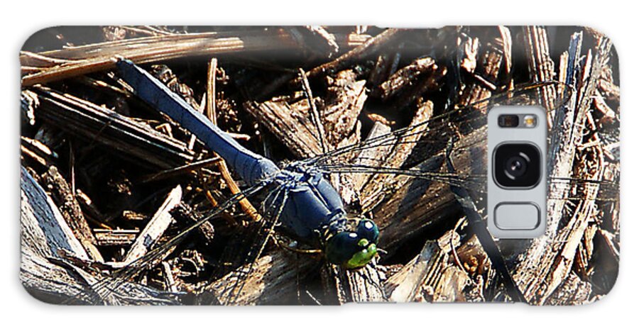 Insect Galaxy Case featuring the photograph Blue Dragonfly by Chauncy Holmes