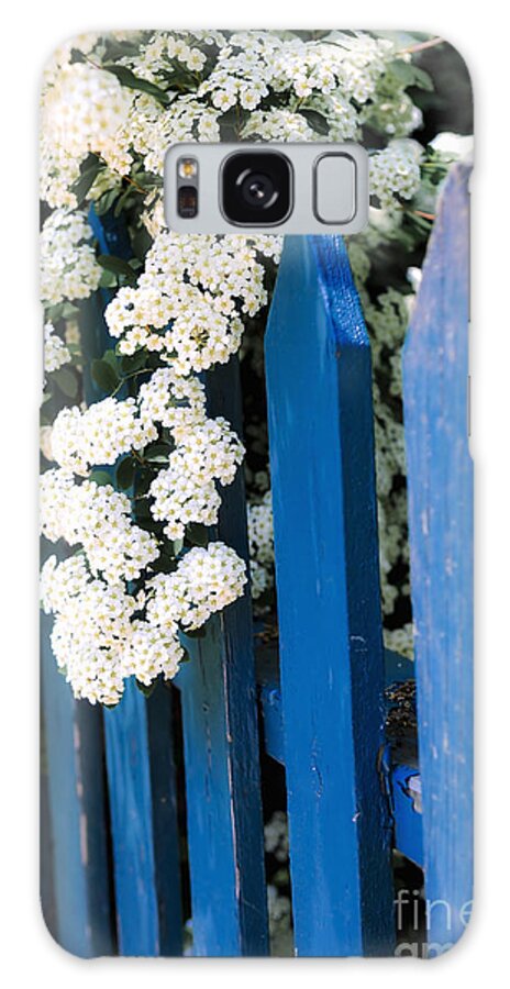 Fence Galaxy Case featuring the photograph Blue garden fence with white flowers by Elena Elisseeva