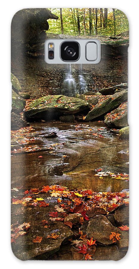 Water Galaxy Case featuring the photograph Blue Hen Falls In Autumn by Dale Kincaid