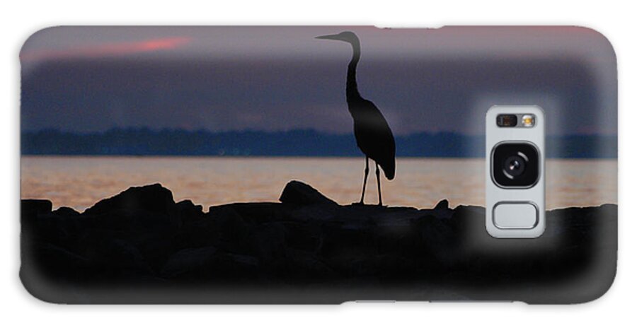  Galaxy Case featuring the painting Blue Heron of the Inlet by Josef Kelly