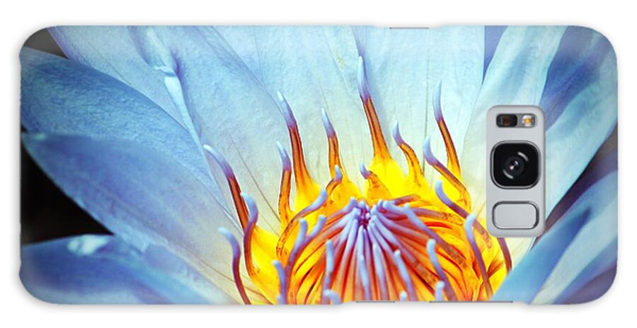 Flower Galaxy Case featuring the photograph Blue Lotus by Cynthia Guinn