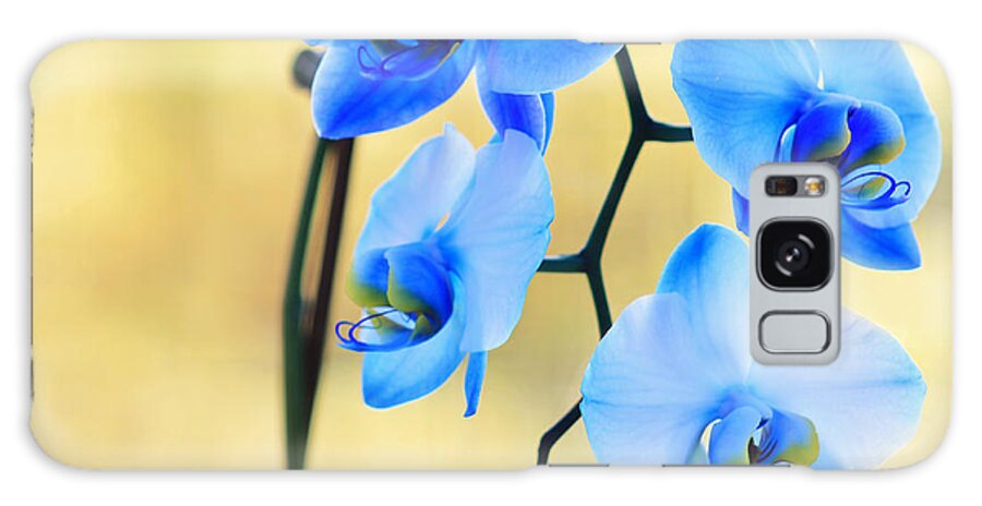 Blue Orchid Galaxy Case featuring the photograph Blue Orchid by Kim Mobley