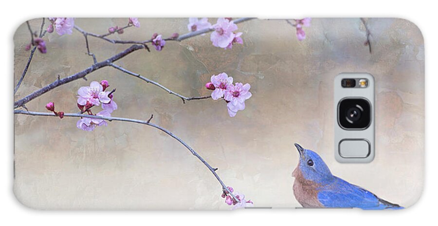 Bluebird Galaxy S8 Case featuring the photograph Bluebird and Plum Blossoms by Bonnie Barry