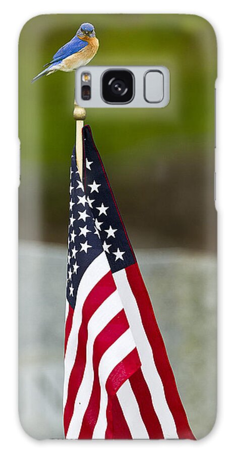 American Flag Galaxy Case featuring the photograph Bluebird Perched on American Flag by John Vose