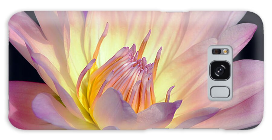 Flower Galaxy Case featuring the photograph Blushing Pink Water Lily by Julie Palencia