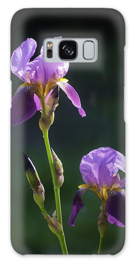 Bearded Iris Galaxy Case featuring the photograph Bold And Beautiful by Sherri Meyer