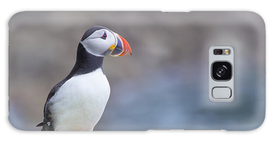 Puffin Galaxy Case featuring the photograph Born Free by Evelina Kremsdorf