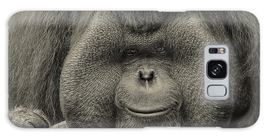 Orangutan Galaxy Case featuring the photograph Bornean Orangutan II by Lourry Legarde