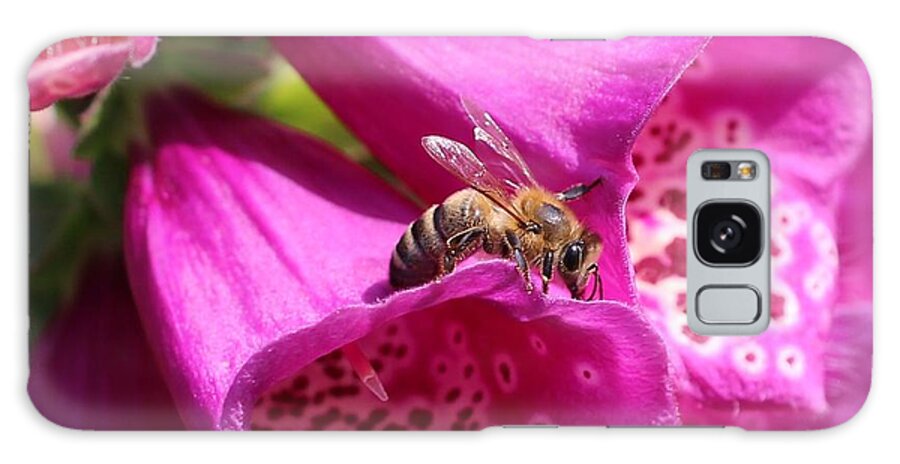 Honeybee Galaxy Case featuring the photograph Bracing for a Good Drink by Lucinda VanVleck
