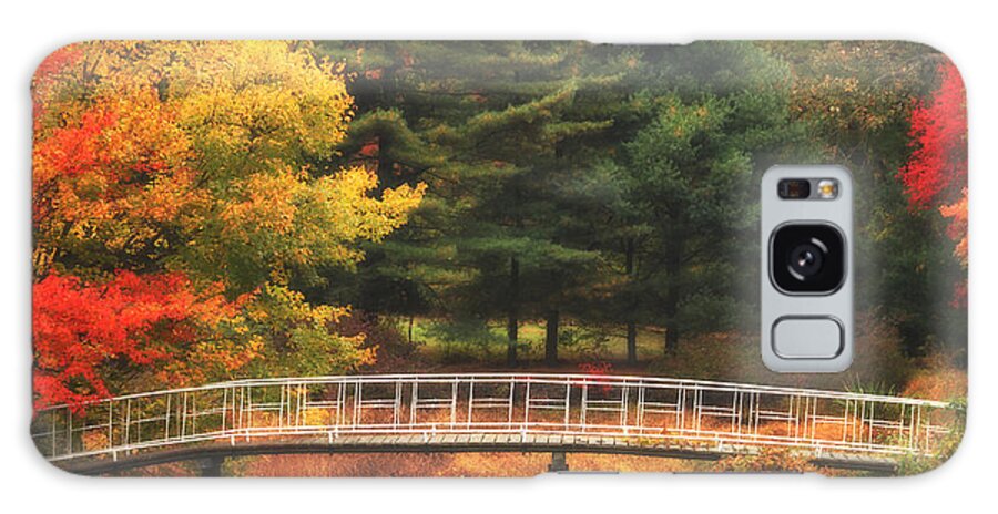 Autumn Galaxy S8 Case featuring the photograph Bridge to Autumn by Karol Livote