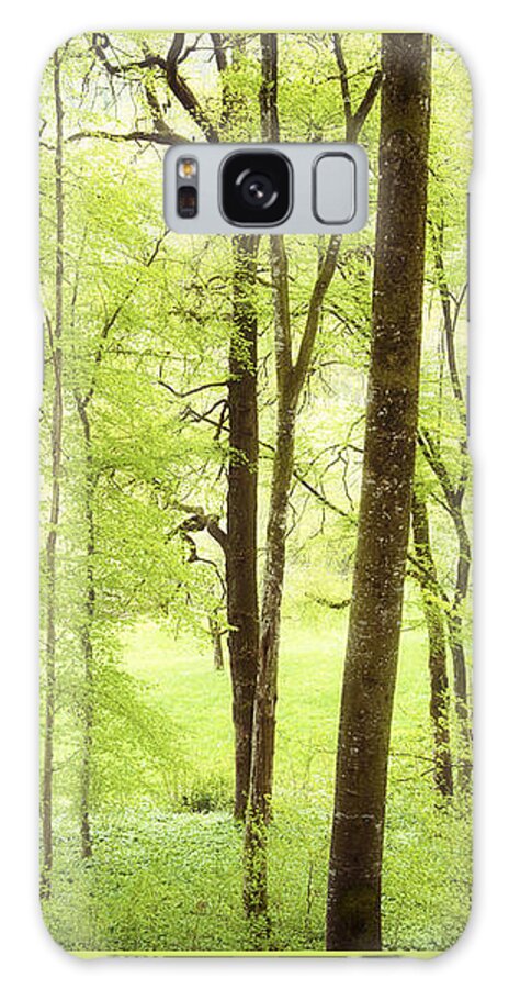 Green Galaxy Case featuring the photograph Bright green forest in spring with beautiful soft light by Matthias Hauser