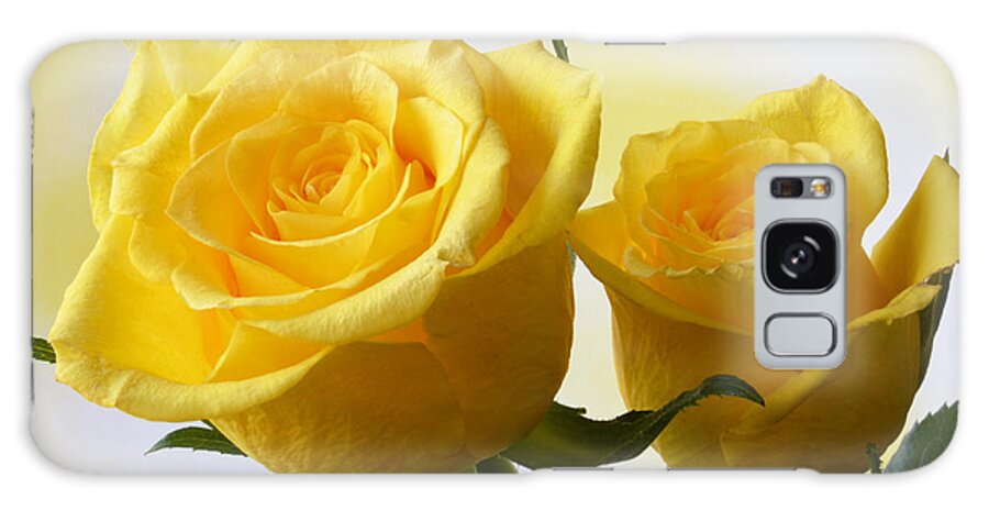 Rose Galaxy Case featuring the photograph Bright Yellow Roses. by Terence Davis