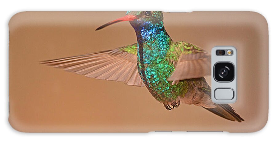 Bird Galaxy Case featuring the photograph Broad-billed Hummingbird by Alan Lenk