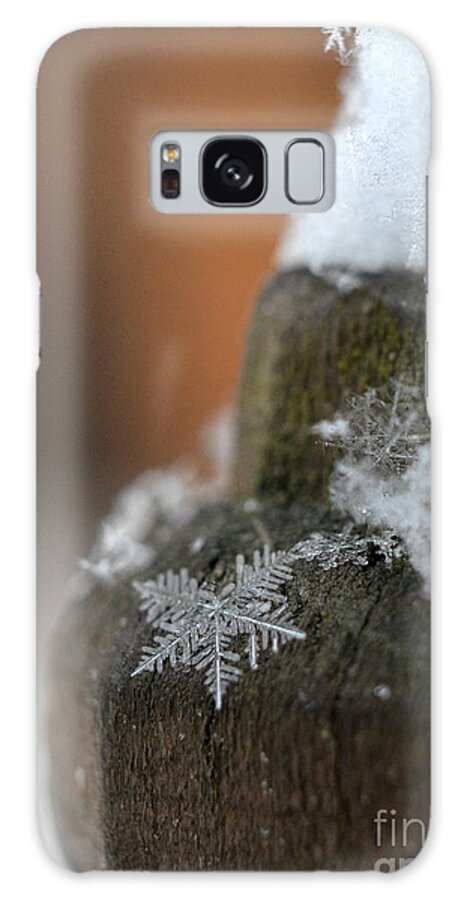 Snowflake Galaxy Case featuring the photograph Broken Dream by Lila Fisher-Wenzel