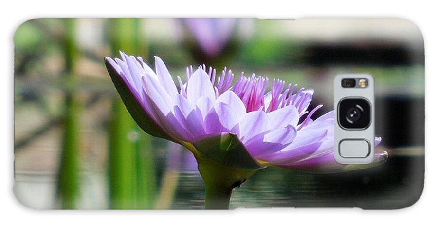 Water Lily Galaxy Case featuring the photograph Brookgreen Garden Water Lily by Chad and Stacey Hall