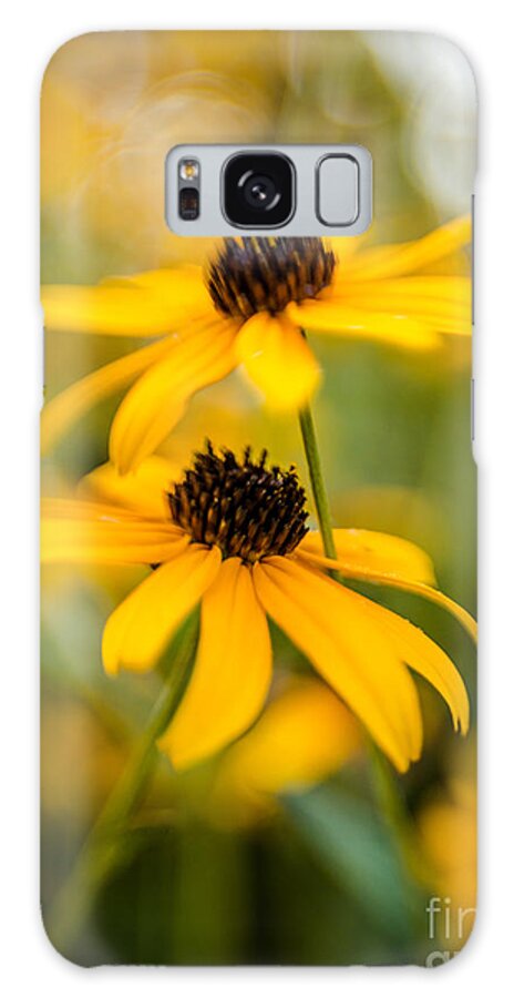 Flower Galaxy Case featuring the photograph Brown-Eyed Girls by Pamela Taylor