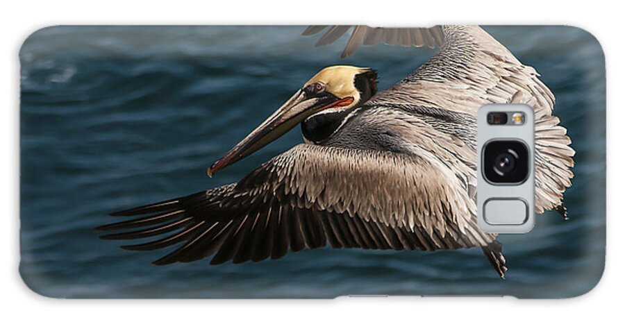 Photography Galaxy Case featuring the photograph Brown Pelican Landing by Lee Kirchhevel
