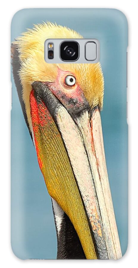 Brown Pelican Galaxy Case featuring the photograph Brown Pelican Portrait by Daniel Behm