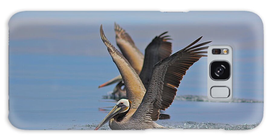 Pelican Galaxy Case featuring the photograph Brown Pelicans by Liz Vernand