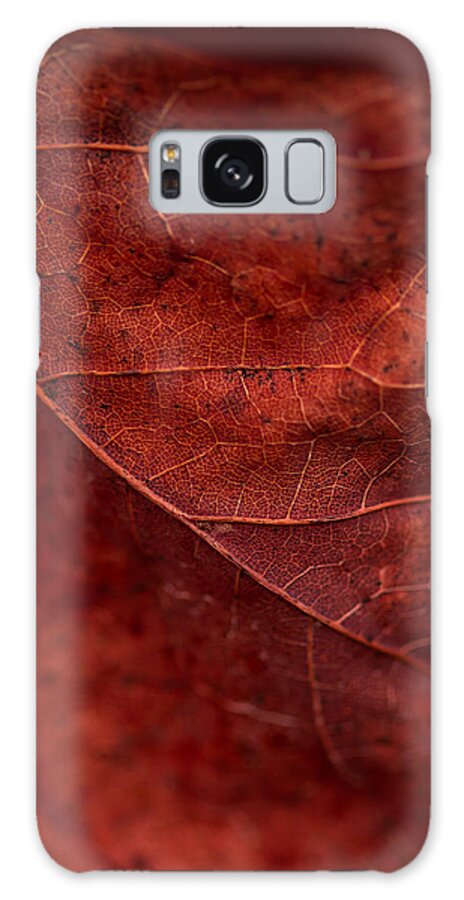 2013 Galaxy Case featuring the photograph Brown texture by Haren Images- Kriss Haren