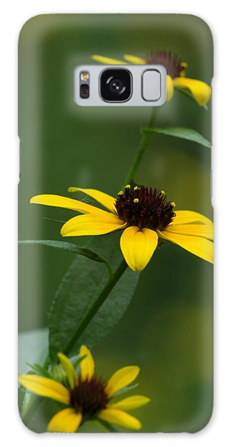 Browneyed Susan Galaxy Case featuring the photograph Browneyed Susan by Daniel Reed