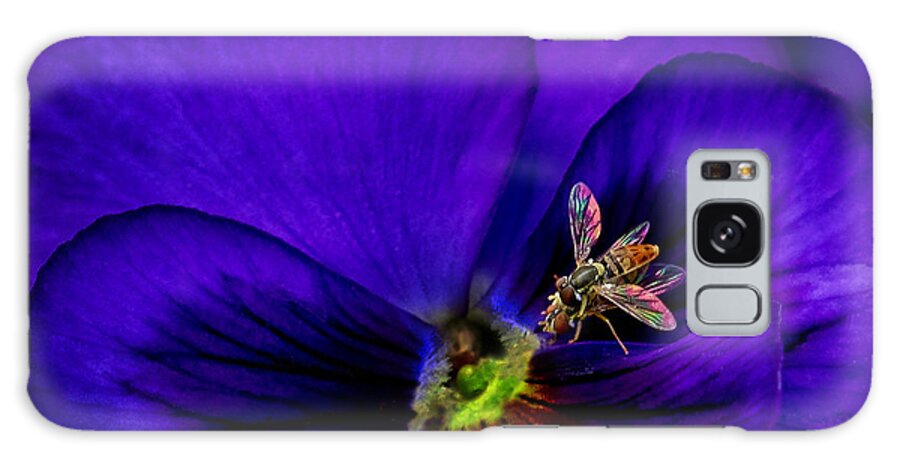 Pansy Galaxy Case featuring the photograph Bugs on Pansy by Jamieson Brown