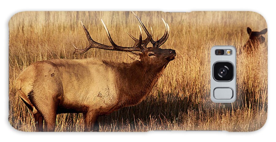 Elk Galaxy Case featuring the photograph Bull Elk by Clare VanderVeen