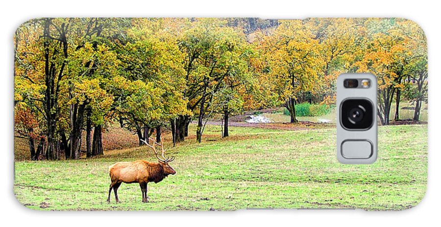 Elk Canvas Prints Galaxy Case featuring the photograph Bull Elk by Wendy McKennon