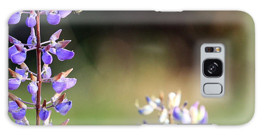 Botanical Galaxy Case featuring the photograph Bumble Bee on Lupine by Rich Collins