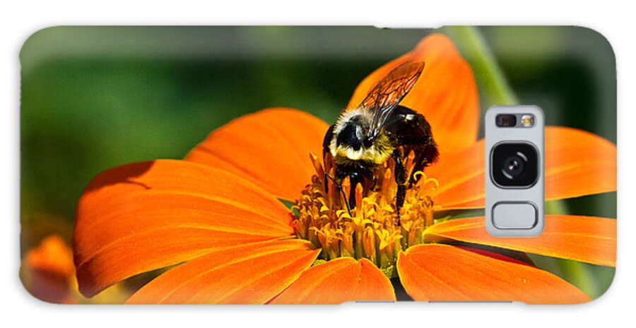 Nectar Galaxy Case featuring the photograph Bumblebee Hard At Work by Ms Judi