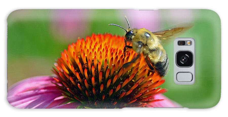 Bee Galaxy Case featuring the photograph Bumblebee on a Coneflower by Rodney Campbell