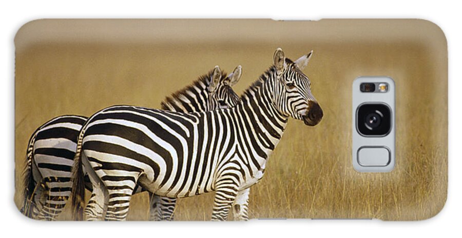 Feb0514 Galaxy Case featuring the photograph Burchells Zebras On Savannah Masai Mara by Gerry Ellis