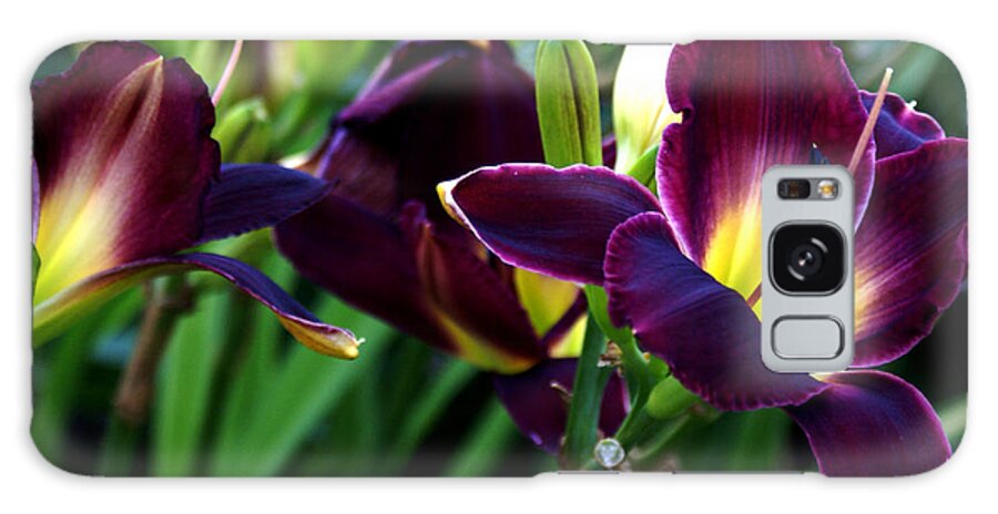 Landscape Galaxy Case featuring the photograph Burgundy Lily by Chauncy Holmes