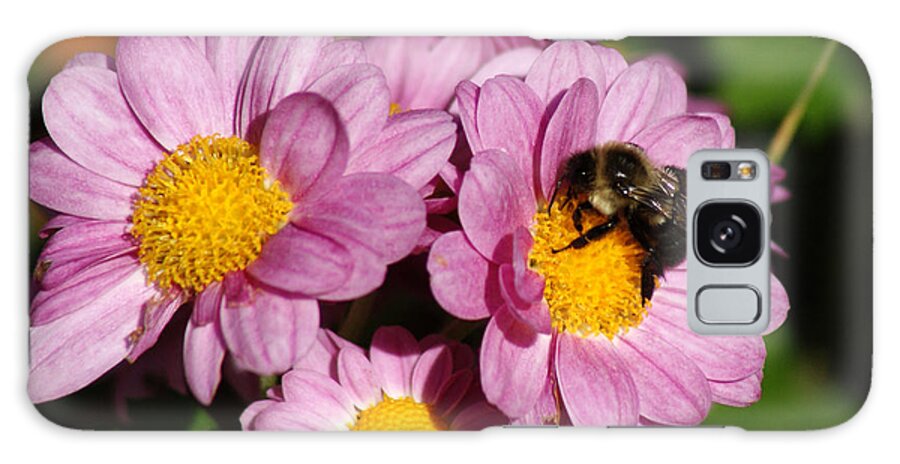Bee Galaxy Case featuring the photograph Busy Bee by Margie Avellino