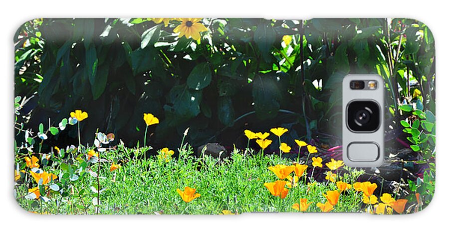 Flowers Galaxy Case featuring the photograph Buttercups and Black Eyed Susans by Maureen E Ritter