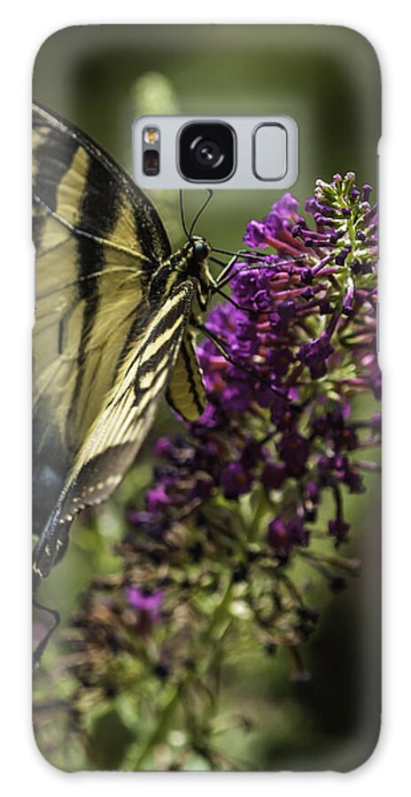 Appalachian Mountains Galaxy Case featuring the photograph Butterflies along the Blue Ridge by Donald Brown