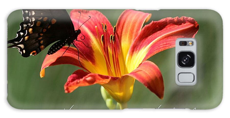 Christmas Galaxy Case featuring the photograph Butterfly and Lily Holiday Card by Sabrina L Ryan