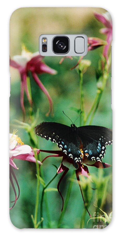Butterfly Galaxy Case featuring the photograph Butterfly and Pink Columbine by Heather Kirk