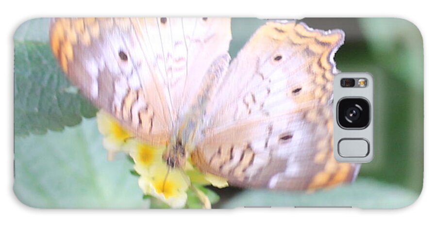 Purple Galaxy Case featuring the photograph Butterfly by Denise Cicchella