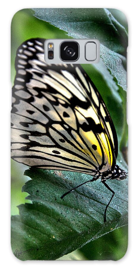 Paper Kite Galaxy Case featuring the photograph Butterfly - Green Leaf by Mark Valentine