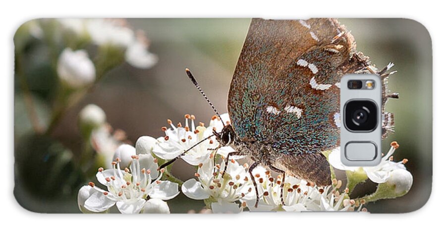 Flowers Galaxy Case featuring the photograph Butterfly In The Garden by Todd Blanchard